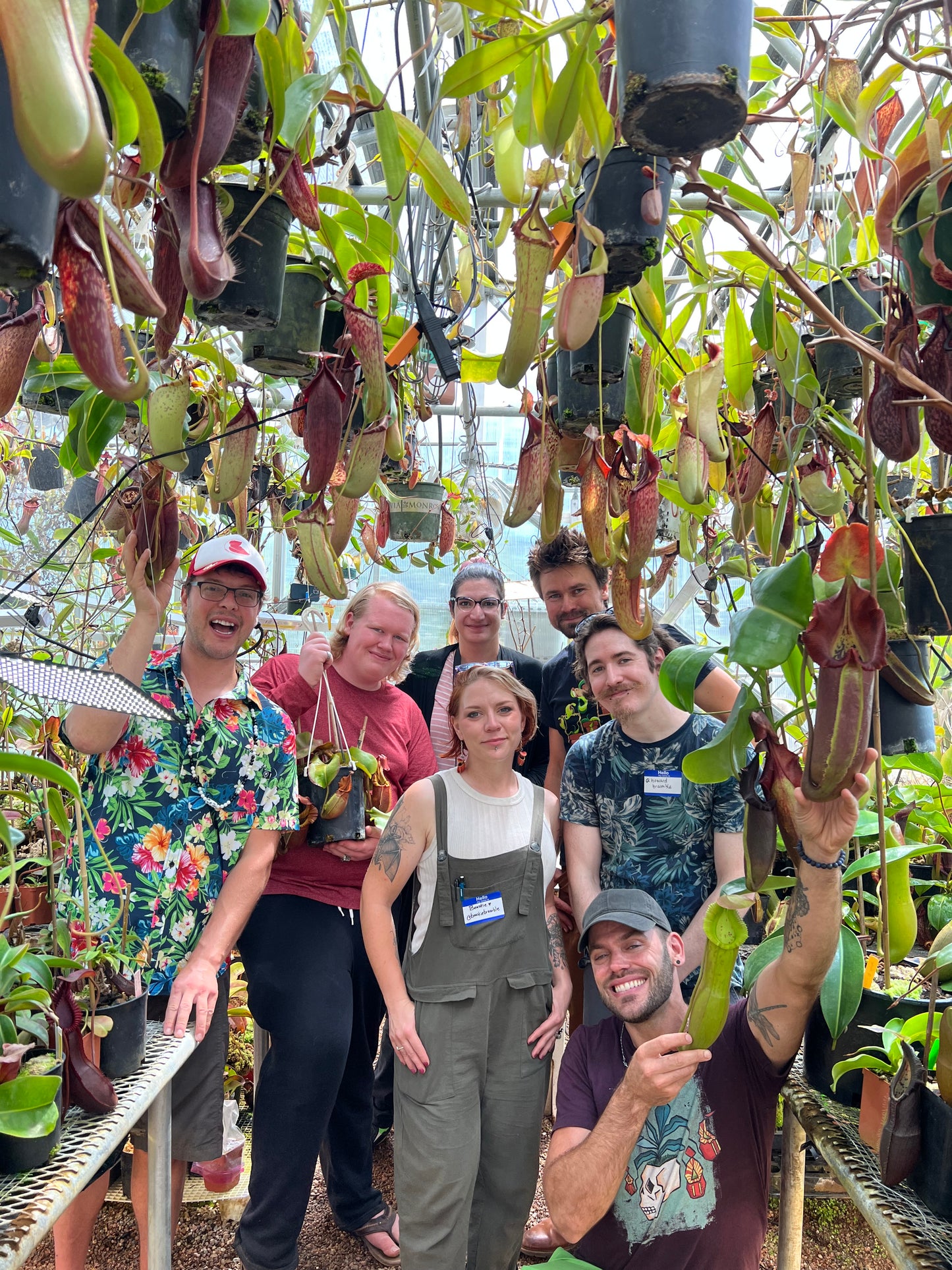 Greenhouse Open Day August 8th 2026