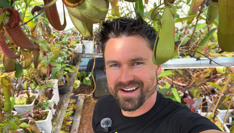 Jeremiah's Plants 2026 greenhouse tour in Colorado Springs