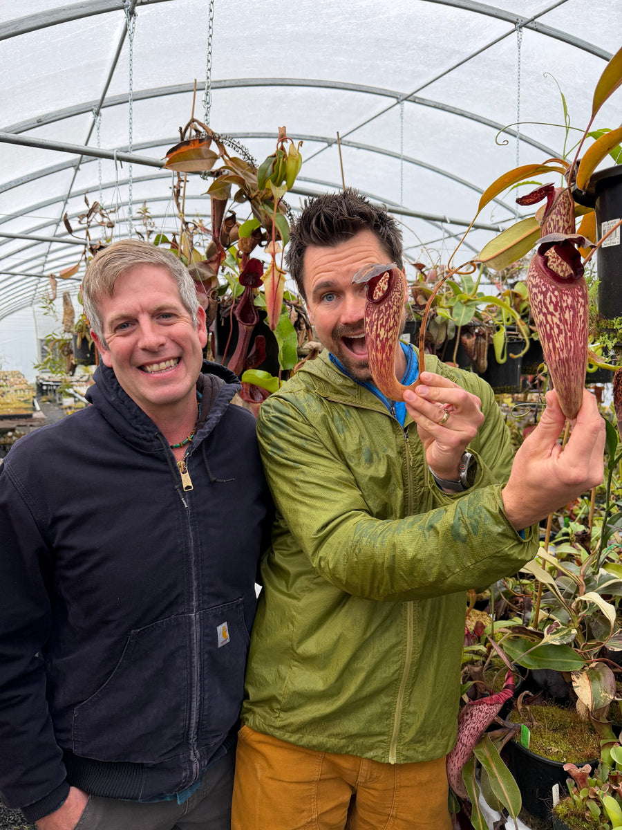Jeremiah Harris and Damon Collingsworth with Nepenthes klossii at California Carnivores