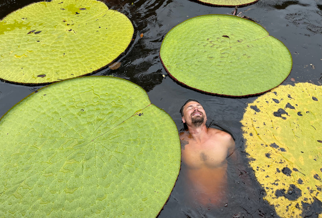 Jeremiah Harris swimming among giant waterlilies, Victoria colombiana, in Guainía, Colombia