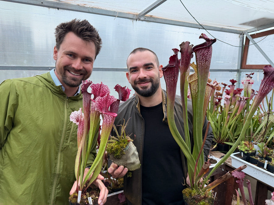 Jeremiah Harris and Antonio Fumarola holding Sarracenia in Puglia, Italy