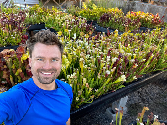 Can You Grow Carnivorous Plants Outdoors in the USA?