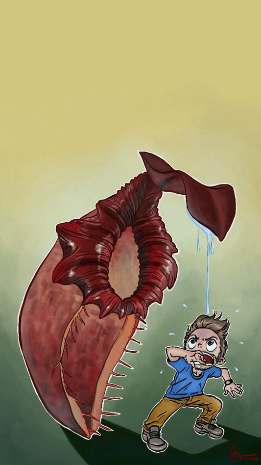 Common Carnivorous Plant Mistakes (And How to Fix Them Fast)