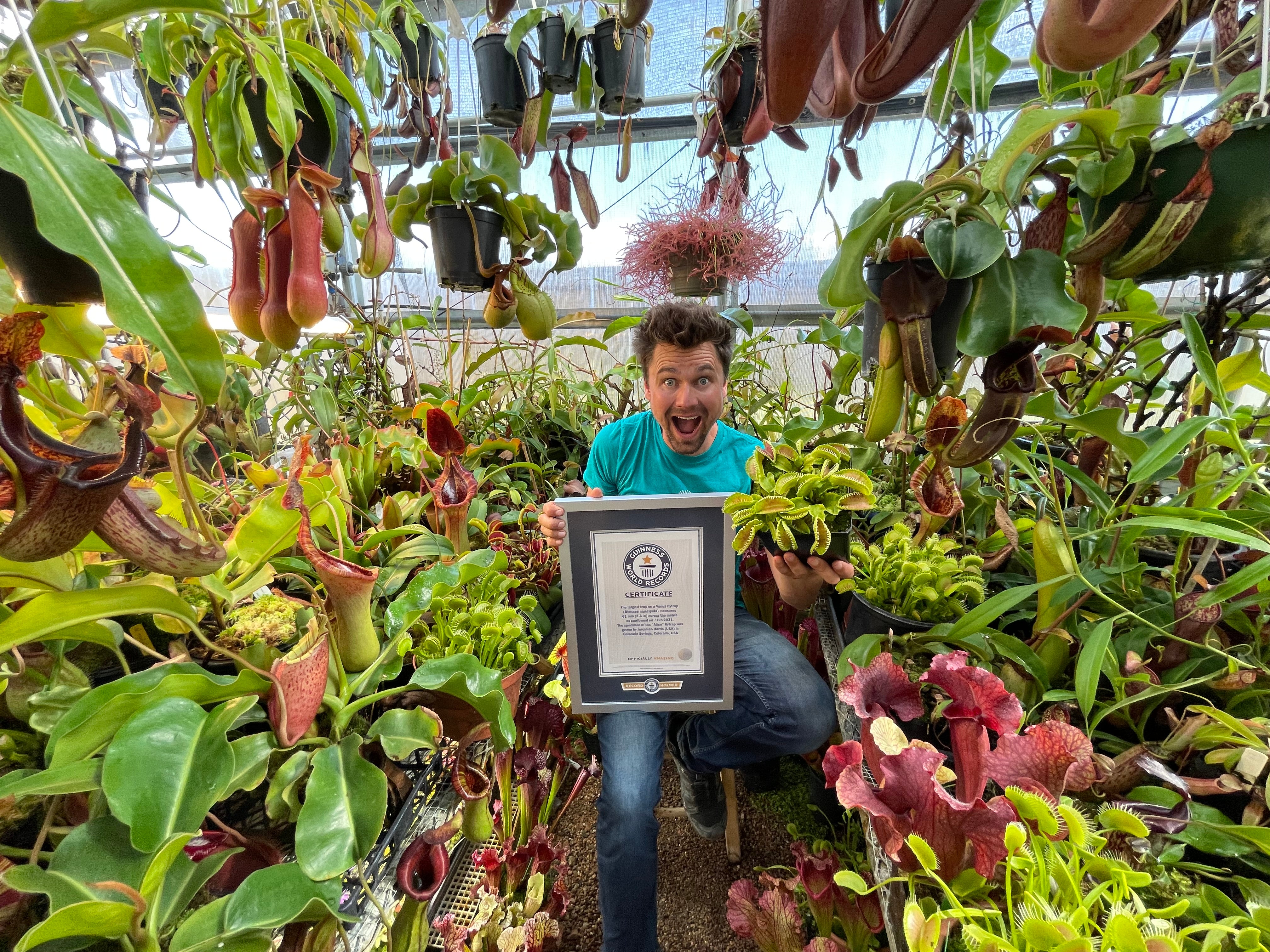 Rare Carnivorous Plants for Sale – Jeremiah's Plants