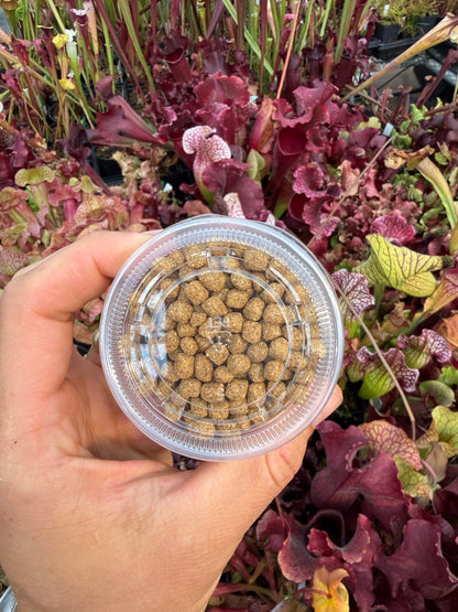 Large Fish Pellets, 4oz Cup, Great for Feeding Medium to Large Nepenthes, Heliamphora, and Sarracenia