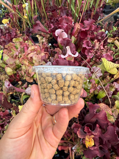Large Fish Pellets, 4oz Cup, Great for Feeding Medium to Large Nepenthes, Heliamphora, and Sarracenia