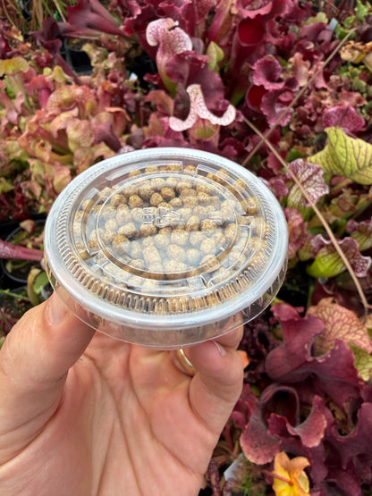 Small fish pellets for carnivorous plants, second photo