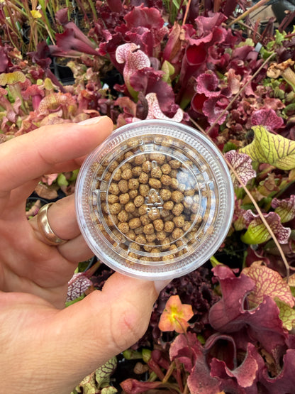 Small fish pellets for feeding Nepenthes, Heliamphora and Sarracenia, 2oz cup
