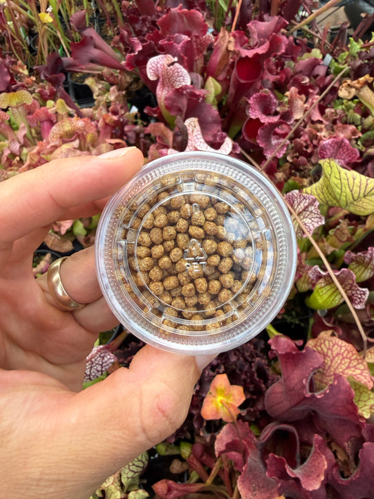 Small Fish Pellets, 2oz Cup, Great for Feeding Nepenthes, Heliamphora, and Sarracenia