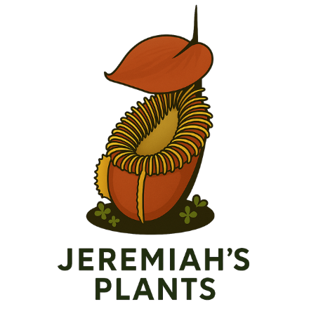 Jeremiah’s Plants